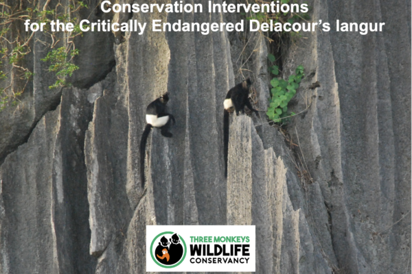 The presentation from our Director of Conservation Strategies